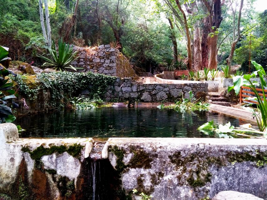 Silves, Caldas and Monchique Wine Tasting: Full Day Tour - Is $104 a fair price?
