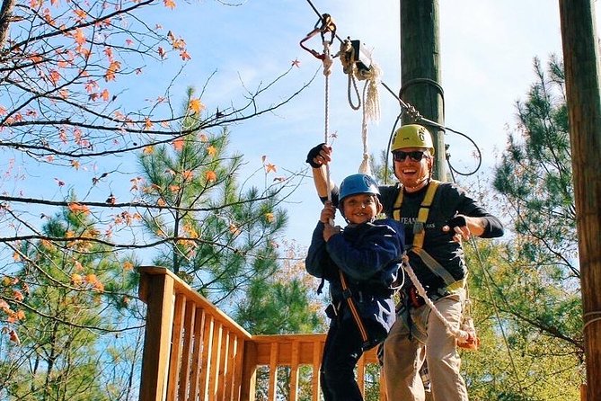 Small-Group Zipline Tour in Hot Springs - What the small group changes