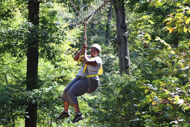 Small-Group Zipline Tour in Hot Springs - Ten ziplines through old-growth forest