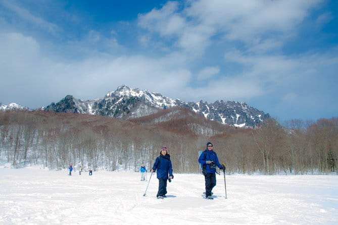Snow Monkey & Shibu Onsen Private Tour (Nagano, Nozawa, Myoko) - Price, group size, and overall value