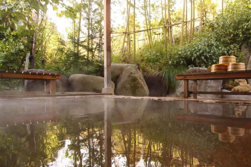 Snow Monkeys & Ghibli Onsen Town with Free Time to Explore - What the 191 dollar price really buys