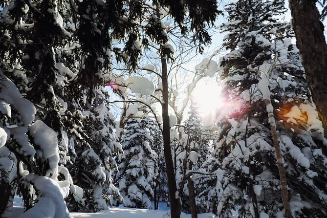 Snowshoe Adventures and Onsen Bliss Winter Escape in Furano - Pickup from Furano and the ride to the snow