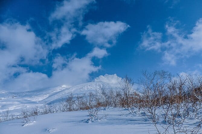 Snowshoe Adventures and Onsen Bliss Winter Escape in Furano - One hour among snow-covered trees at 1,000 meters
