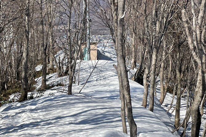 Snowshoeing and Onsen Adventures in a Winter Wonderland -Sapporo. - What the guide adds to the day