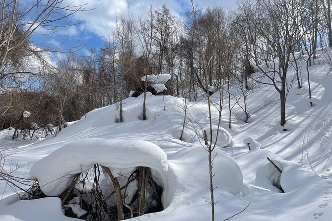 Snowshoeing and Onsen Adventures in a Winter Wonderland -Sapporo. - Price and what you receive for $224.02