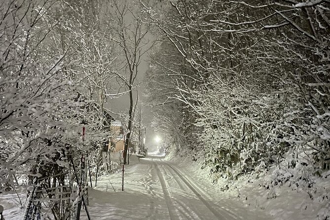Snowshoeing and Onsen Adventures in a Winter Wonderland -Sapporo. - Who should book this snowshoe outing