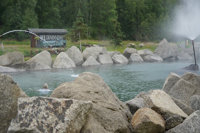 Spectacular Chena Hot Springs Northern Lights Experience - Key points to know before booking