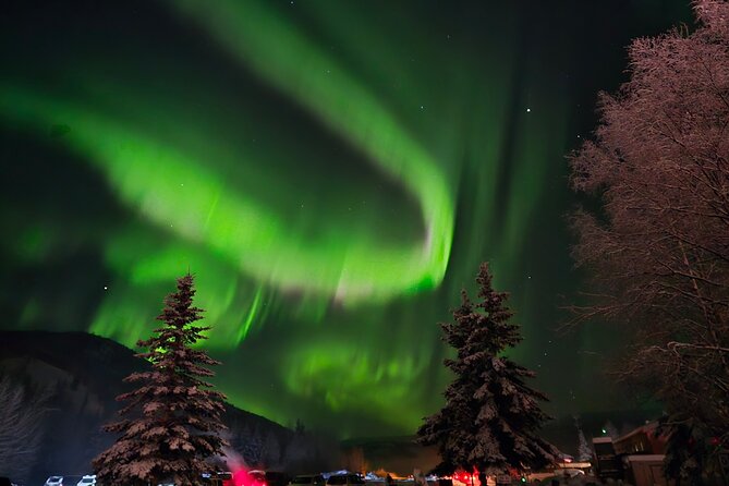 Spectacular Chena Hot Springs Northern Lights Experience - The Northern Lights search is the unpredictable part