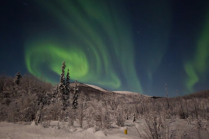 Spectacular Hot Spring Experience with Northern Lights - The 1.5-hour ride from Fairbanks