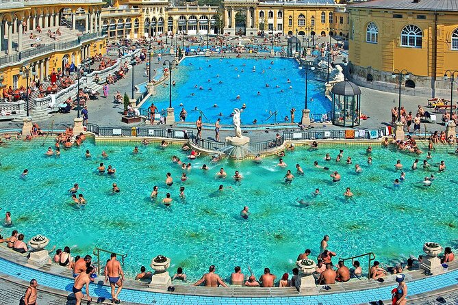 Széchenyi Thermal Spa Palm House Pass - Exclusive Area - The cabin question deserves careful attention