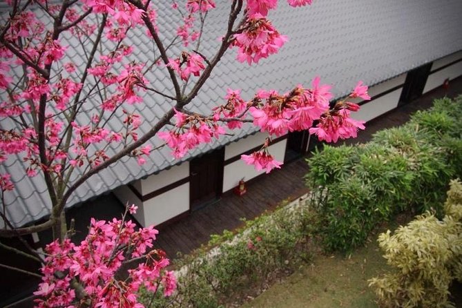 Taipei Day Tour including Taipei 101, Din Tai Fung and Hot Spring Experience - What the guide adds beyond the admission tickets