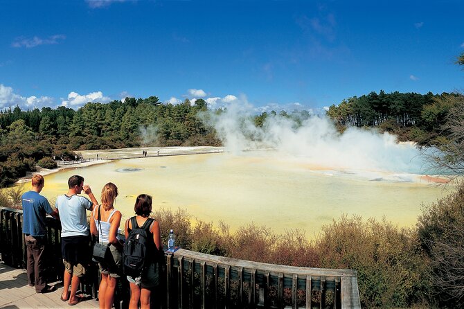 Tauranga Private Shore Excursion: Wai-O-Tapu Thermal Wonderland - Lady Knox Geyser and the timing of the visit