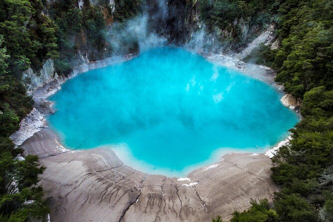 Te Puia Geothermal, Kiwi and Māori Art - What the $148.94 price really covers