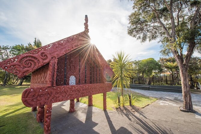Te Puia Geothermal, Kiwi and Māori Art - Who will get the most from this day