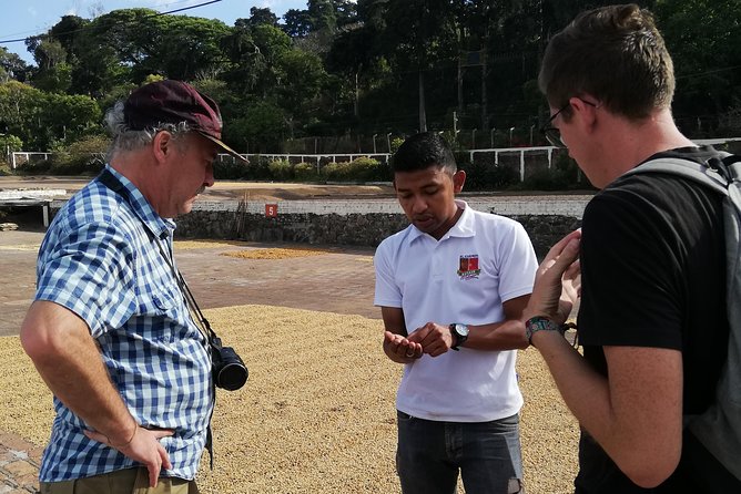 The Classic Ruta de las Flores : Towns, Coffee Tour & Hot Springs - Finca El Carmen and the work behind your coffee