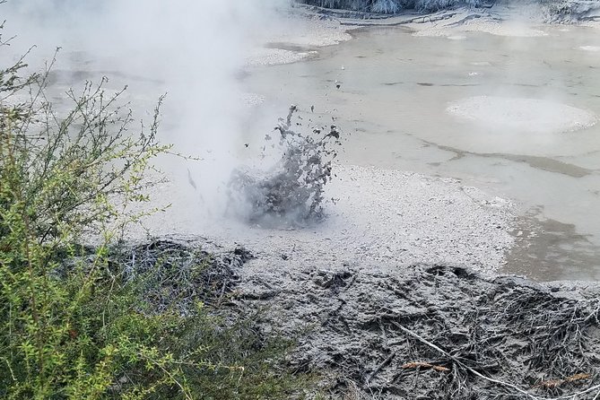Thermal Path Tour - Waiotapu Mud Pool: Rotorua’s loudest natural performance