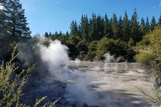Thermal Path Tour - Te Manaroa Springs and the living water of Waikite Valley