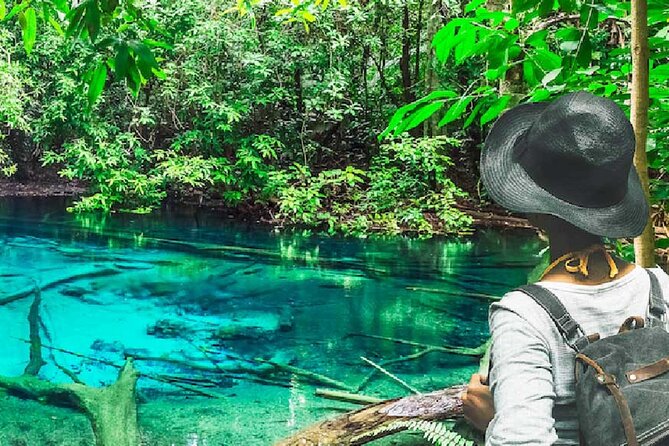 Tiger Cave Temple, Emerald Pool & Hot Springs Tour from Krabi - Three Krabi highlights in one long day
