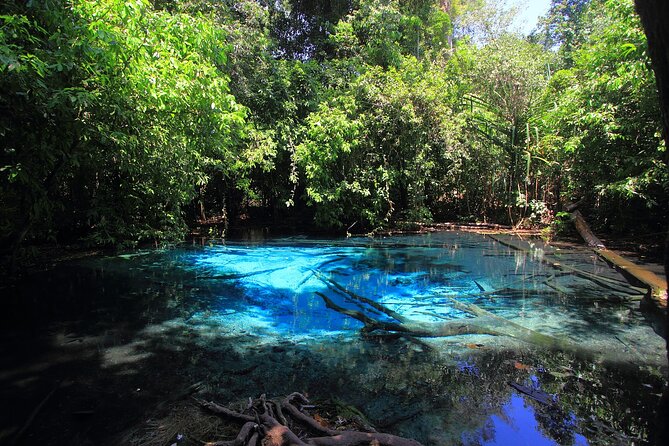 Tiger Cave Temple, Emerald Pool & Hot Springs Tour from Krabi - Emerald Pool and Blue Lagoon in the morning