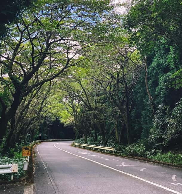 Tokyo: 1 Day JDM/Sports Car Tour to Hakone, Fuji, and Onsen - Lake Ashi: water, mountains, and a slower view