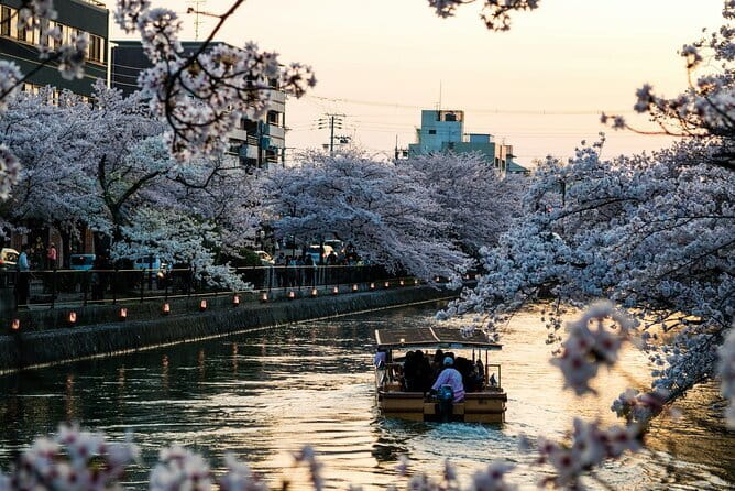 Tokyo City Adventures Private English Tour With Hotel Pickup - Key points to know before booking