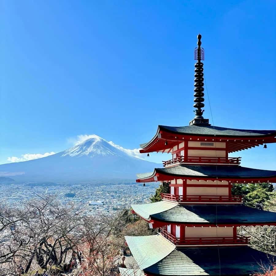 Tokyo: Hakone’s Best Onsen Tour with Lake Ashi Cruise - Key points to know before booking