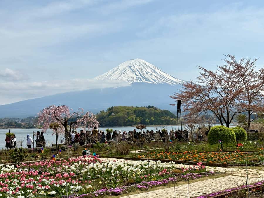 Tokyo: Hakone’s Best Onsen Tour with Lake Ashi Cruise - Hakone Shrine beneath the cedar trees