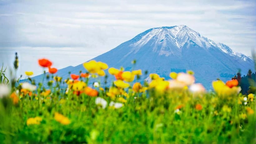 Tokyo: Mount Fuji 5th Station & Onsen Day Trip - A long but easy ride to Mount Fuji