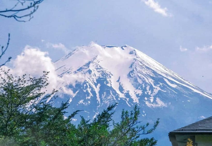 Tokyo: Mount Fuji 5th Station & Onsen Day Trip - Choosing between the 5th Station and Shinkurayama Asama Park