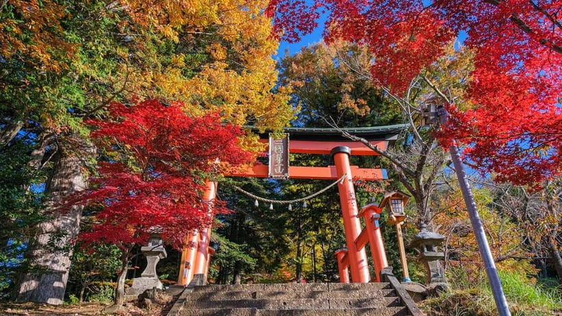 Tokyo: Mount Fuji 5th Station & Onsen Day Trip - How much value do you get for $50?