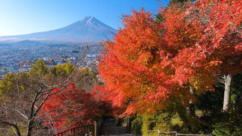 Tokyo: Mount Fuji 5th Station & Onsen Day Trip - Timing, comfort, and who should book