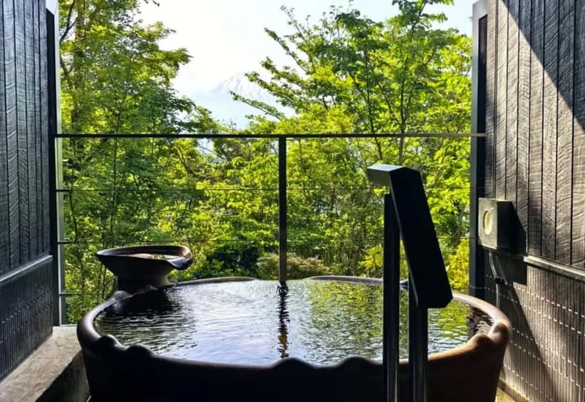 Tokyo: Mount Fuji 5th Station & Onsen Day Trip - What can go wrong, and how to reduce the risk