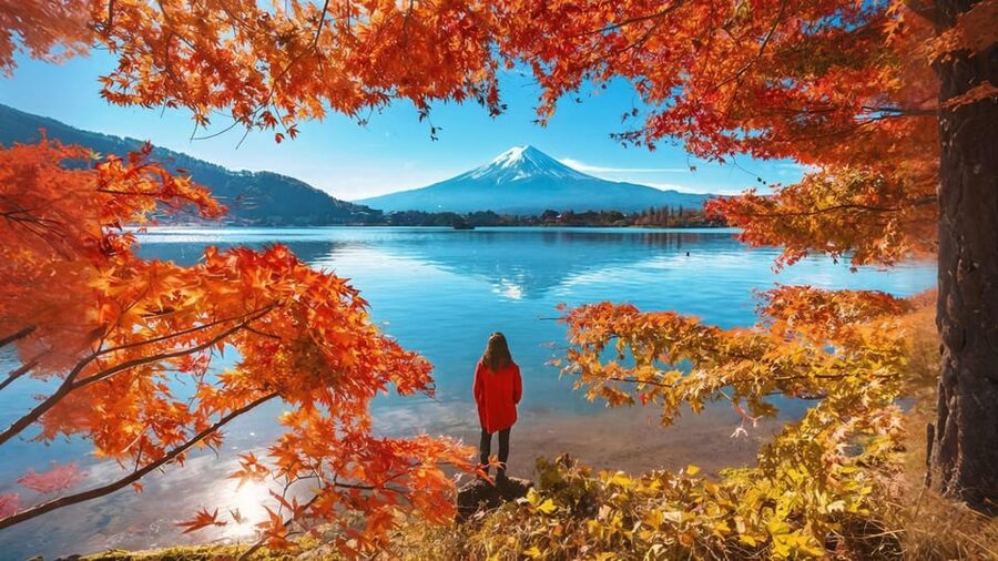 Tokyo: Mt Fuji Lake Kawaguchi & Yamanaka Hot Spring Day Tour - Who will get the most from this Fuji tour