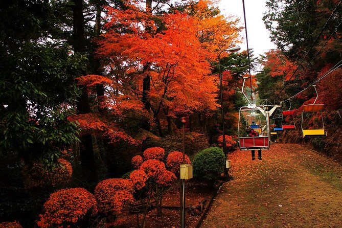 Tokyo: Mt Takao Tour with Ramen and Tattoo-Okay Hot Spring - Key Points