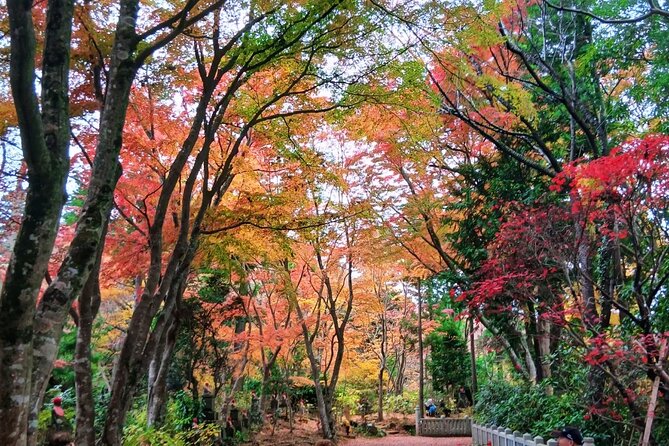 Tokyo: Mt Takao Tour with Ramen and Tattoo-Okay Hot Spring - Why Mt Takao Makes a Good Break From Tokyo