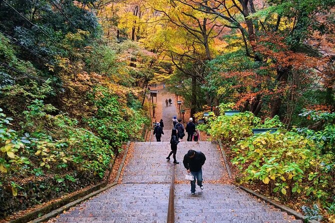 Tokyo: Mt Takao Tour with Ramen and Tattoo-Okay Hot Spring - Cable Cars, Chair Lifts, and the First Climb
