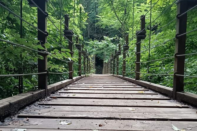Tokyo: Mt Takao Tour with Ramen and Tattoo-Okay Hot Spring - Hachioji Ramen at the Right Moment