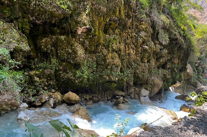 Tolantongo Private Tour + Pastes + One Day at the Hot Springs - The warm river offers a slower kind of swim