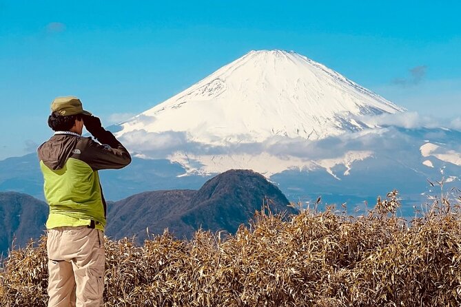 Traverse Outer Rim of Hakone Caldera and Enjoy Onsen Hiking Tour - Hakone’s outer rim, tackled on foot