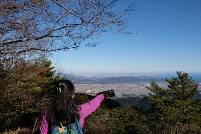 Traverse Outer Rim of Hakone Caldera and Enjoy Onsen Hiking Tour - Descending toward Lake Ashi and Togendai