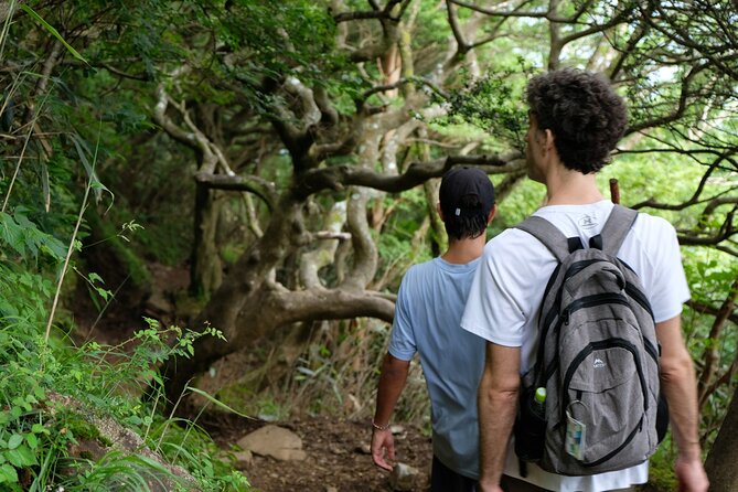 Traverse Outer Rim of Hakone Caldera and Enjoy Onsen Hiking Tour - What the $158 price really covers