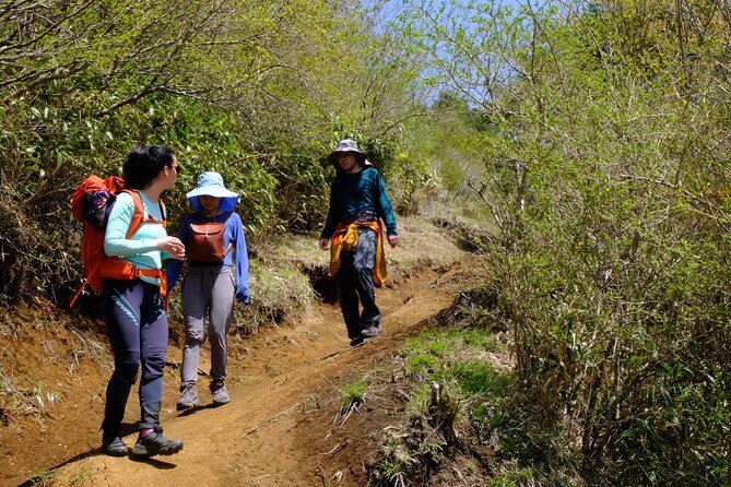 Traverse Outer Rim of Hakone Caldera and Enjoy Onsen Hiking Tour - Group size, guide support, and the pace of the day
