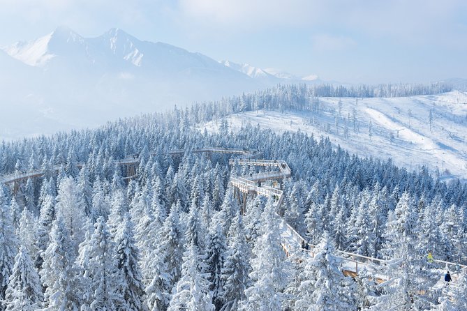 Treetop Walk in Slovakia and Thermal Baths from Krakow - Who will enjoy this combination most?