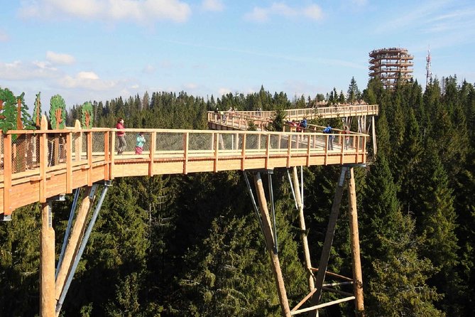 Treetop Walk in Slovakia and Thermal Baths from Krakow - Walking above Slovakia at Bachledka