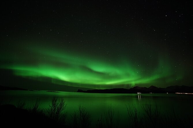 Tromso Aurora Chase by Minibus with Thermal Suit, Snack and Photo - Fires, marshmallows, and the value of staying warm