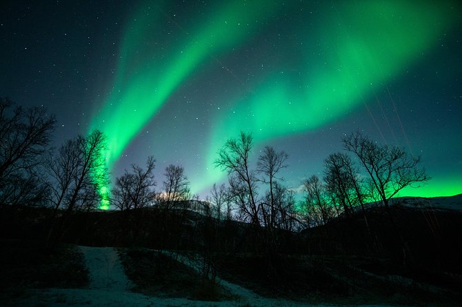 Tromso Aurora Chase by Minibus with Thermal Suit, Snack and Photo - Guide quality can shape the whole night