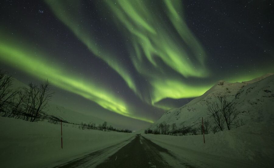 Tromsø: Expert Aurora Hunt - Thermal Gear, Food, Campfire - Campfire food with a northern flavor