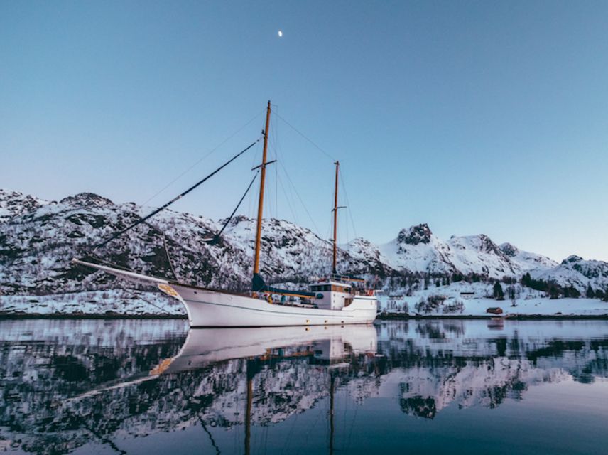 Tromso: Luxury Northern Lights Cruise with Hot Tub & Dinner - Should you book Stella Oceana?