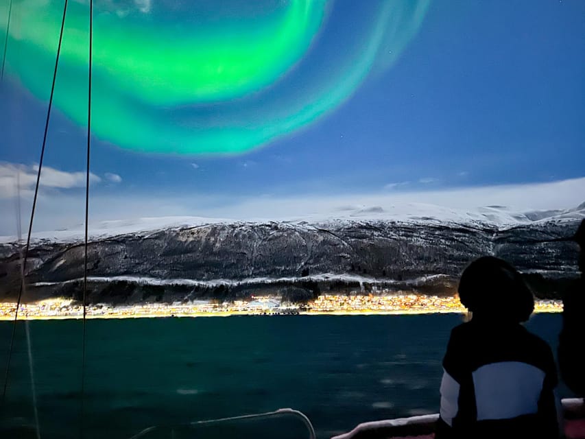 Tromso: Luxury Northern Lights Cruise with Hot Tub & Dinner - Reindeer stew, hot drinks, and a warm saloon