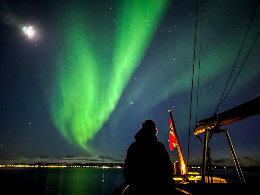 Tromso: Luxury Northern Lights Cruise with Hot Tub & Dinner - When the sky opens, the setting is special